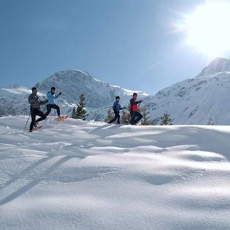 Chalet In Near Slopes Bad Hofgastein