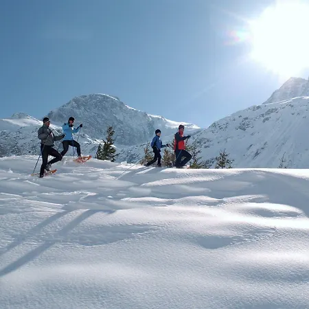 شاليه In Near Slopes باد هوفغاستين