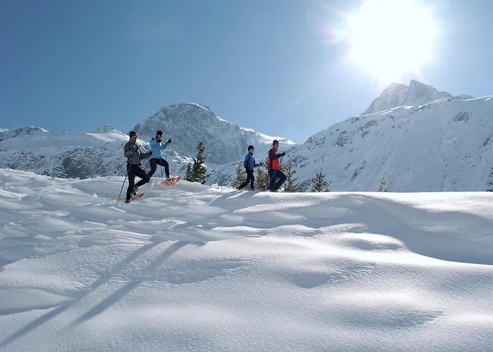 In Near Slopes Alpstuga